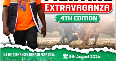 BULL FIGHTING EXTRAVAGANZA- 4TH EDITION